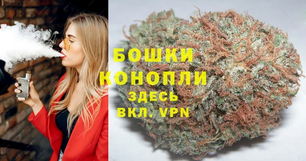 сатива Богородск