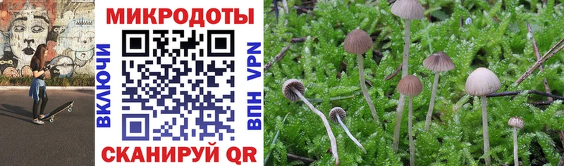 даркнет сайт  hydra ONION  Псилоцибиновые грибы Cubensis  Наро-Фоминск 